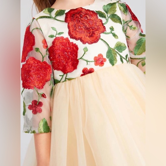 Toddler Girls Formal Holiday Christmas Floral Embroidery Mesh Gown Dress Size 4 - Picture 6 of 17